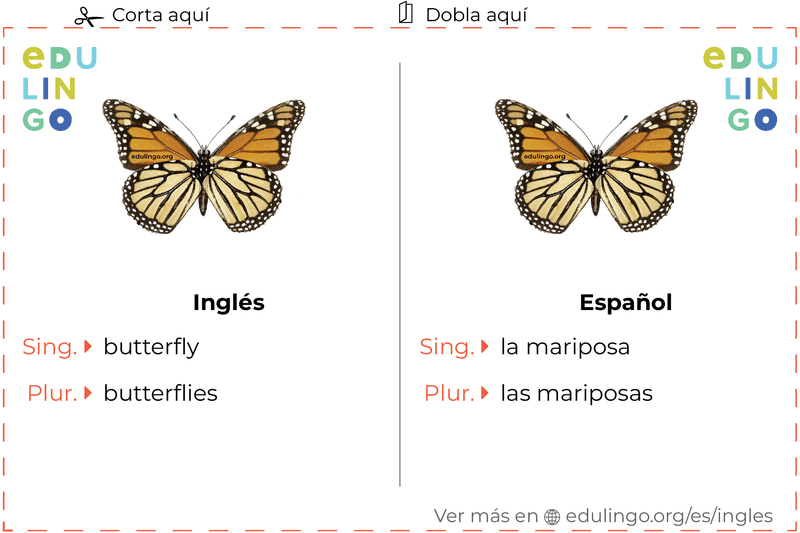 Ficha de Vocabulario Mariposa en inglés para imprimir, practicar y aprender