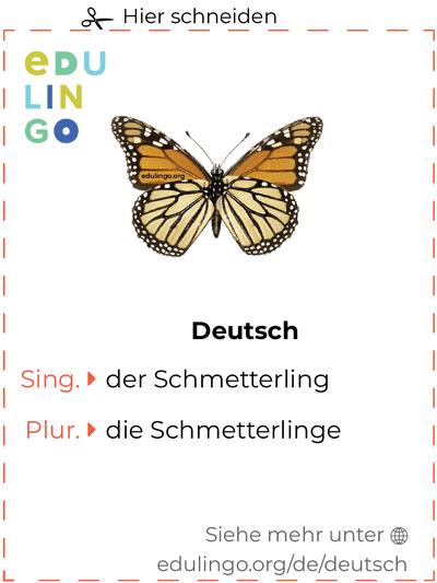 Schmetterling auf Deutsch Vokabelkartei zum Ausdrucken, Üben und Lernen