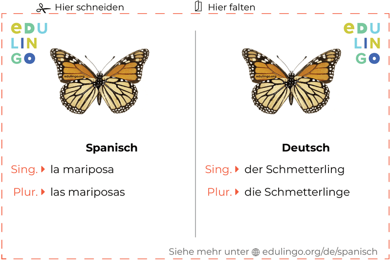 Schmetterling auf Spanisch Vokabelkartei zum Ausdrucken, Üben und Lernen