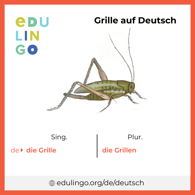 Grille auf Deutsch Vokabelbild mit Singular und Plural zum Herunterladen und Ausdrucken