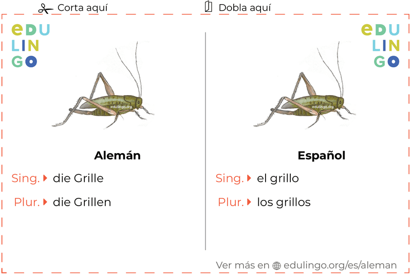 Ficha de Vocabulario Grillo en alemán para imprimir, practicar y aprender