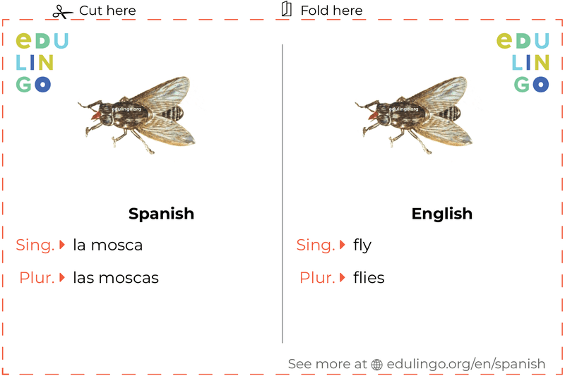 Fly in Spanish vocabulary flashcard for printing, practicing and learning