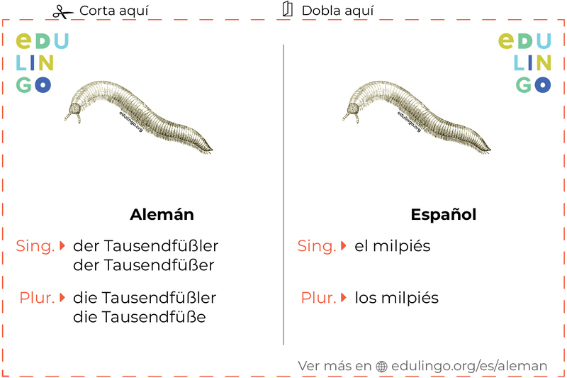 Ficha de Vocabulario Milpiés en alemán para imprimir, practicar y aprender