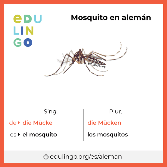 Imagen de vocabulario Mosquito en alemán con singular y plural para descargar e imprimir