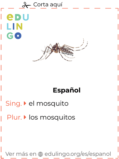 Ficha de Vocabulario Mosquito en español para imprimir, practicar y aprender