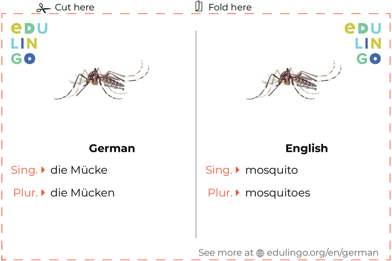 Mosquito in German vocabulary flashcard for printing, practicing and learning