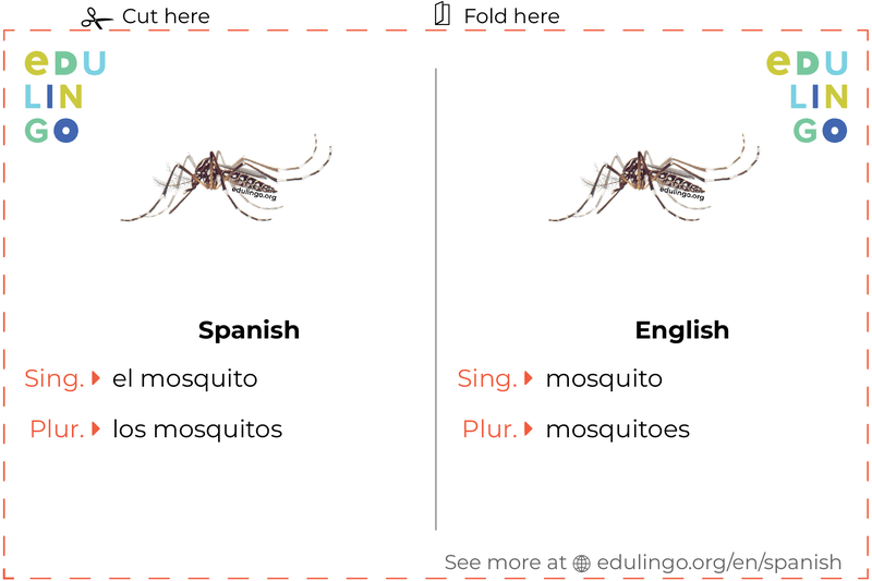 Mosquito in Spanish vocabulary flashcard for printing, practicing and learning