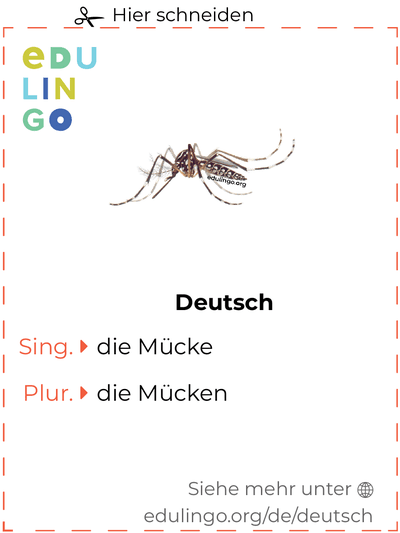 Mücke auf Deutsch Vokabelkartei zum Ausdrucken, Üben und Lernen