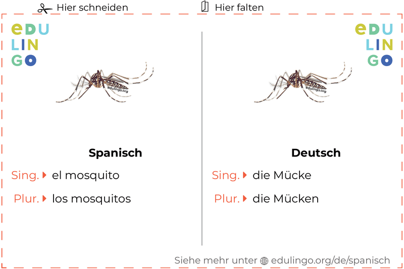 Mücke auf Spanisch Vokabelkartei zum Ausdrucken, Üben und Lernen