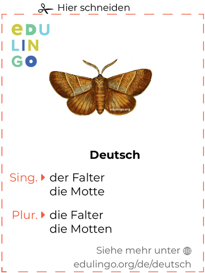 Falter auf Deutsch Vokabelkartei zum Ausdrucken, Üben und Lernen