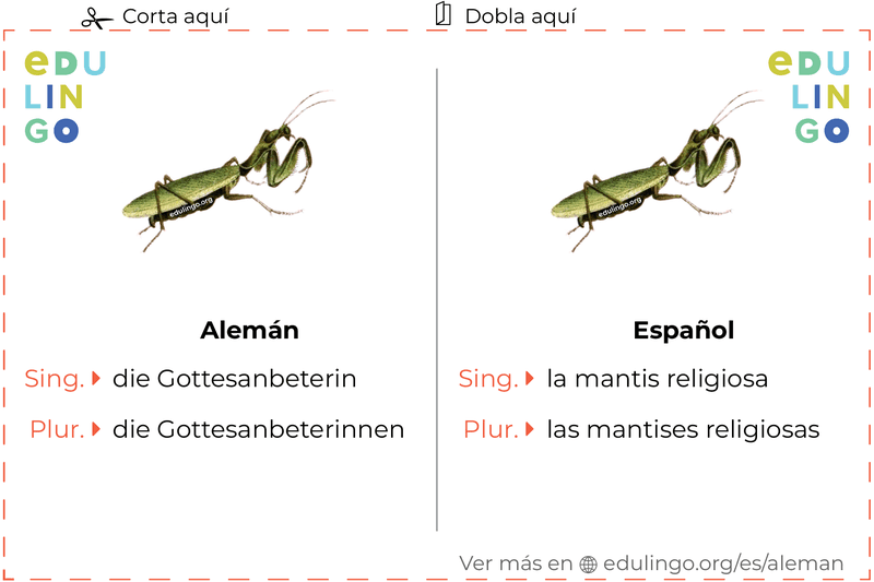 Ficha de Vocabulario Mantis religiosa en alemán para imprimir, practicar y aprender