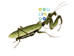 Thumbnail: Praying Mantis in Spanish