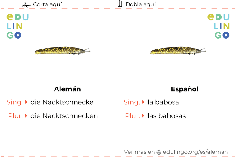 Ficha de Vocabulario Babosa en alemán para imprimir, practicar y aprender