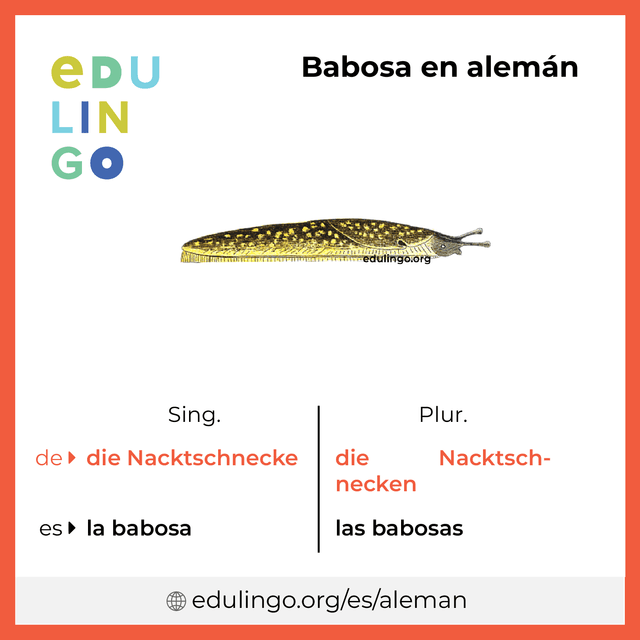 Imagen de vocabulario Babosa en alemán con singular y plural para descargar e imprimir
