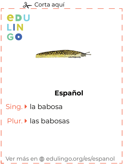 Ficha de Vocabulario Babosa en español para imprimir, practicar y aprender