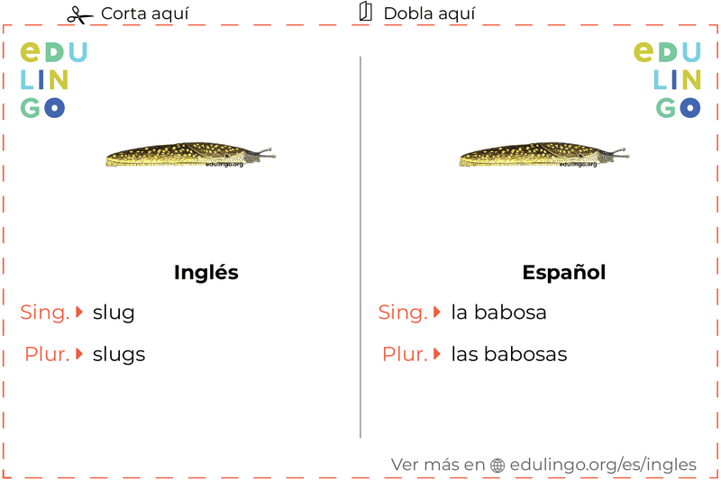 Ficha de Vocabulario Babosa en inglés para imprimir, practicar y aprender