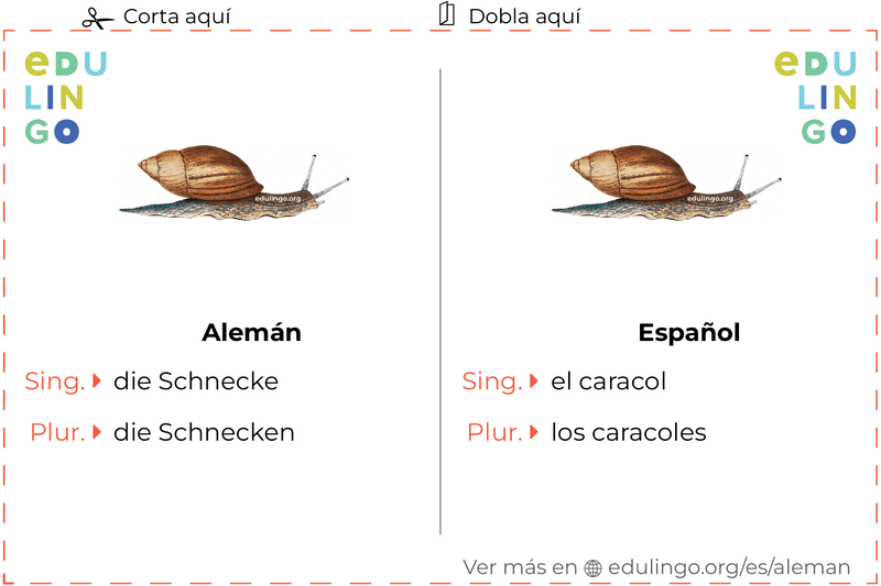 Ficha de Vocabulario Caracol en alemán para imprimir, practicar y aprender