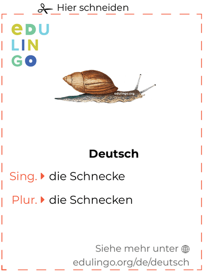 Schnecke auf Deutsch Vokabelkartei zum Ausdrucken, Üben und Lernen