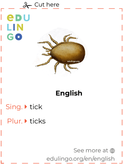 Tick in English vocabulary flashcard for printing, practicing and learning