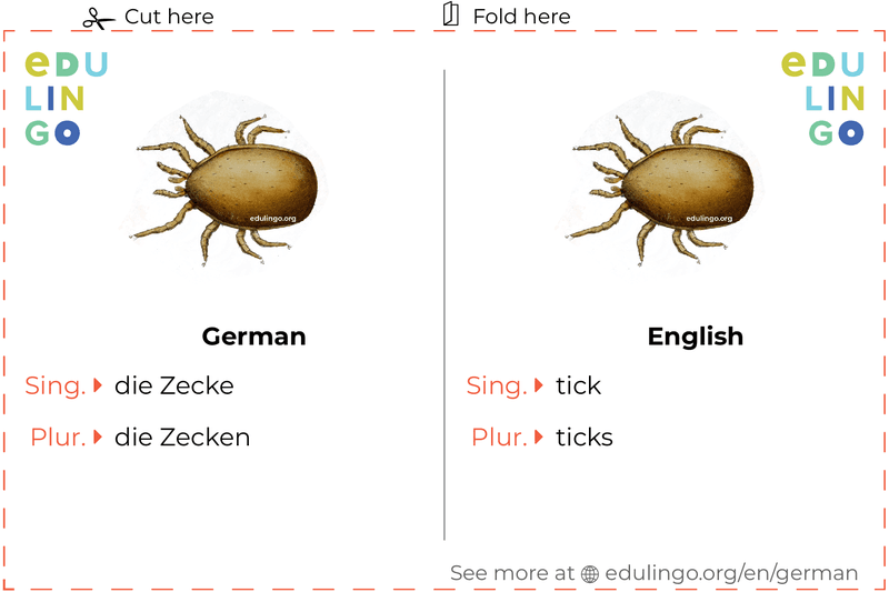 Tick in German vocabulary flashcard for printing, practicing and learning