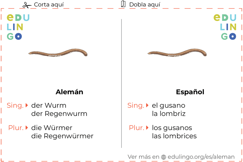 Ficha de Vocabulario Gusano en alemán para imprimir, practicar y aprender