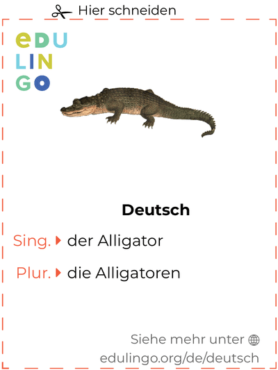 Alligator auf Deutsch Vokabelkartei zum Ausdrucken, Üben und Lernen