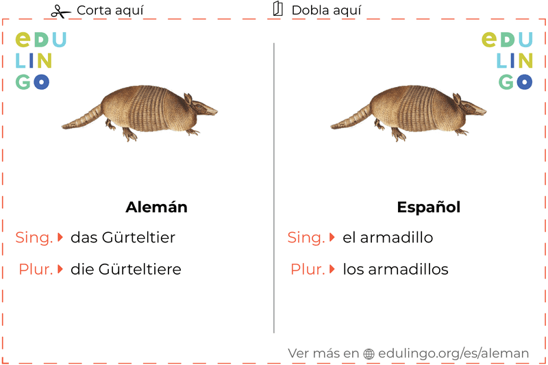 Ficha de Vocabulario Armadillo en alemán para imprimir, practicar y aprender