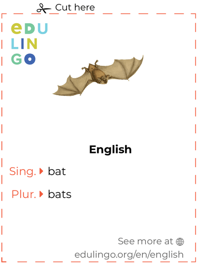 Bat in English vocabulary flashcard for printing, practicing and learning