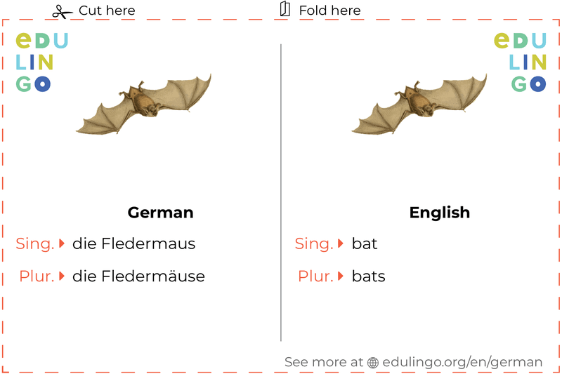 Bat in German vocabulary flashcard for printing, practicing and learning