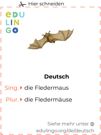 Fledermaus auf Deutsch Vokabelkartei zum Ausdrucken, Üben und Lernen