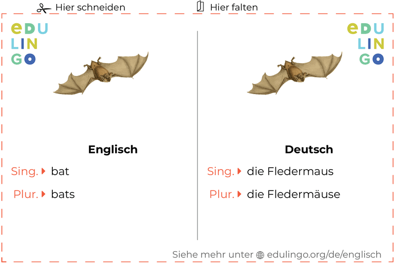 Fledermaus auf Englisch Vokabelkartei zum Ausdrucken, Üben und Lernen