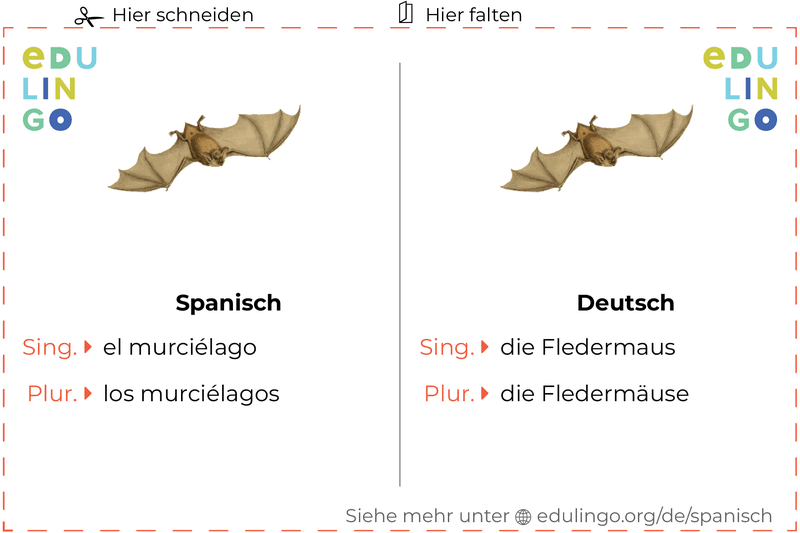 Fledermaus auf Spanisch Vokabelkartei zum Ausdrucken, Üben und Lernen