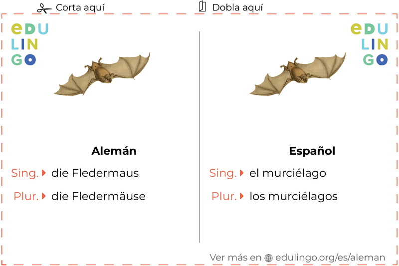 Ficha de Vocabulario Murciélago en alemán para imprimir, practicar y aprender