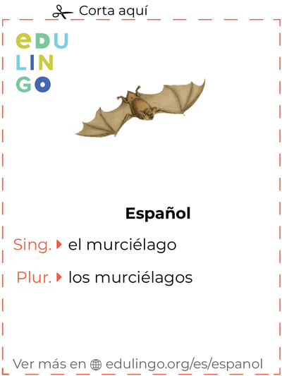 Ficha de Vocabulario Murciélago en español para imprimir, practicar y aprender
