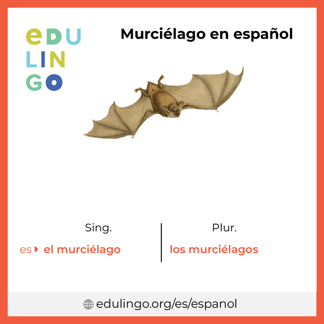 Imagen de vocabulario Murciélago en español con singular y plural para descargar e imprimir