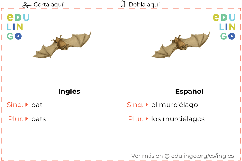 Ficha de Vocabulario Murciélago en inglés para imprimir, practicar y aprender