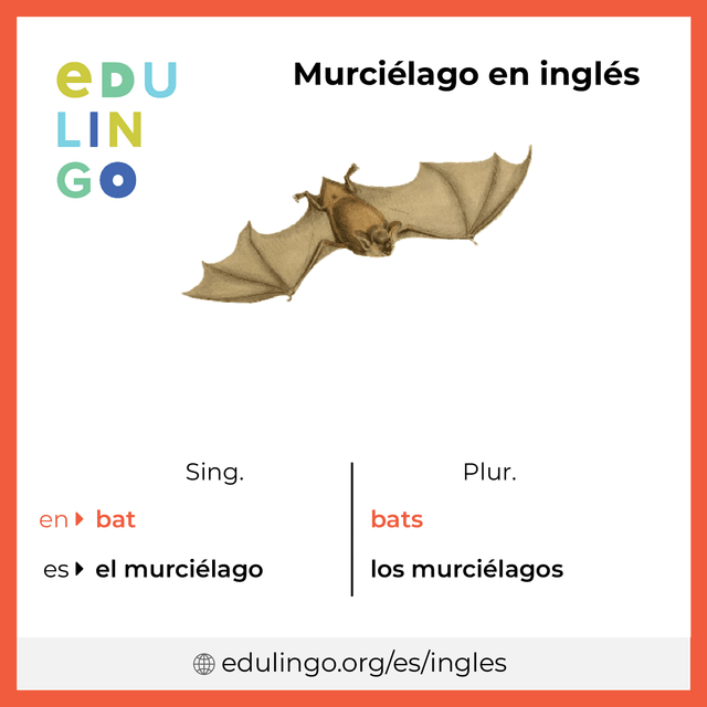 Imagen de vocabulario Murciélago en inglés con singular y plural para descargar e imprimir