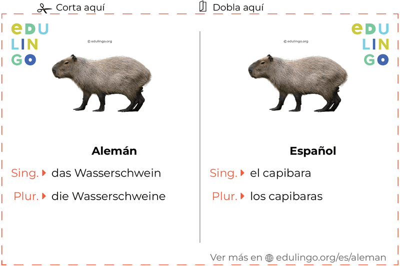 Ficha de Vocabulario Capibara en alemán para imprimir, practicar y aprender