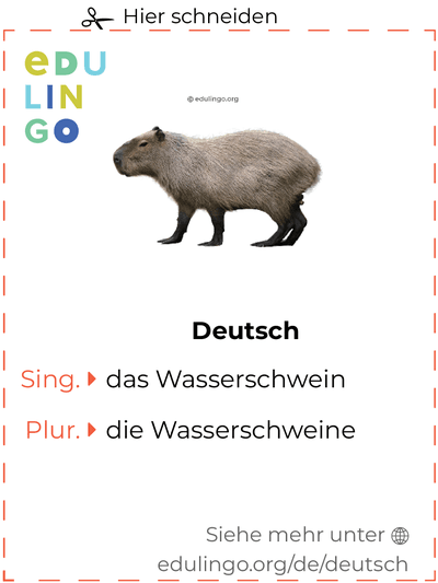 Wasserschwein auf Deutsch Vokabelkartei zum Ausdrucken, Üben und Lernen