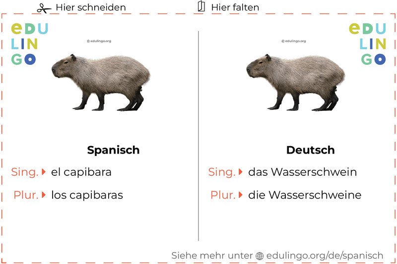 Wasserschwein auf Spanisch Vokabelkartei zum Ausdrucken, Üben und Lernen
