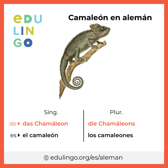 Imagen de vocabulario Camaleón en alemán con singular y plural para descargar e imprimir