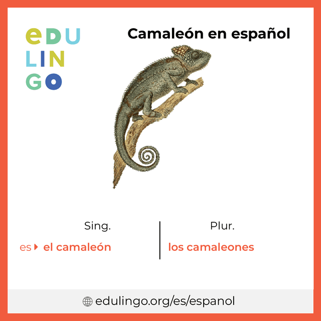 Imagen de vocabulario Camaleón en español con singular y plural para descargar e imprimir