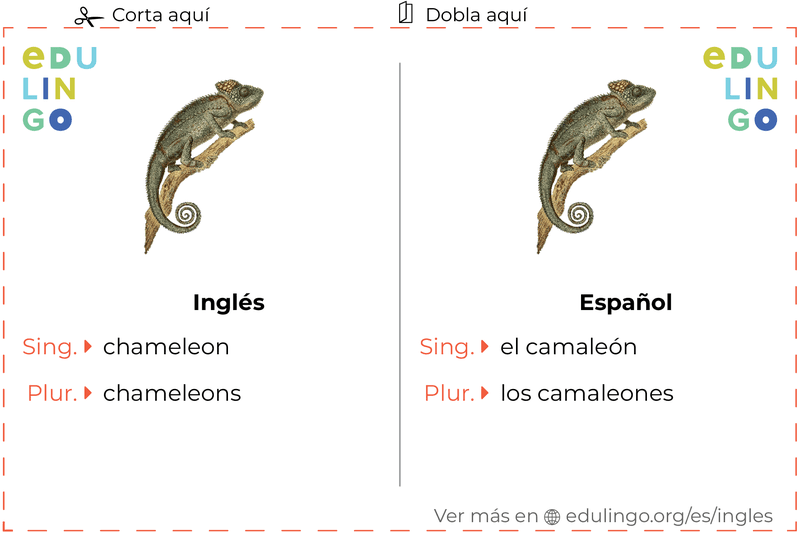 Ficha de Vocabulario Camaleón en inglés para imprimir, practicar y aprender