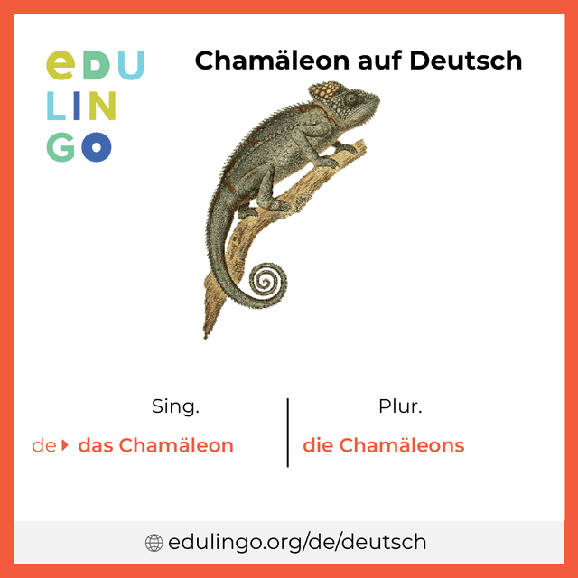Chamäleon auf Deutsch Vokabelbild mit Singular und Plural zum Herunterladen und Ausdrucken