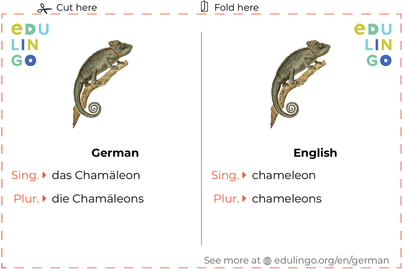 Chameleon in German vocabulary flashcard for printing, practicing and learning