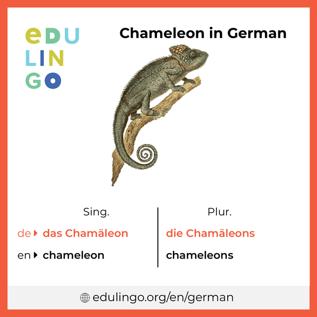 Chameleon in German vocabulary picture with singular and plural for download and printing