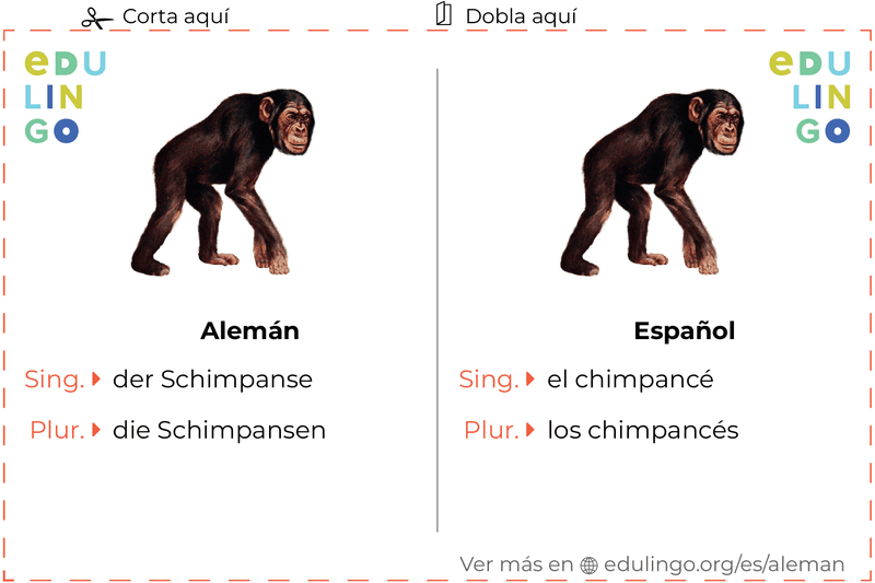 Ficha de Vocabulario Chimpancé en alemán para imprimir, practicar y aprender