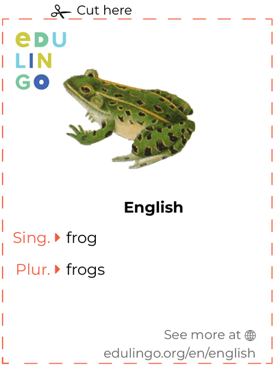 Frog in English vocabulary flashcard for printing, practicing and learning