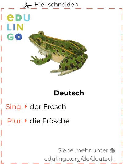 Frosch auf Deutsch Vokabelkartei zum Ausdrucken, Üben und Lernen