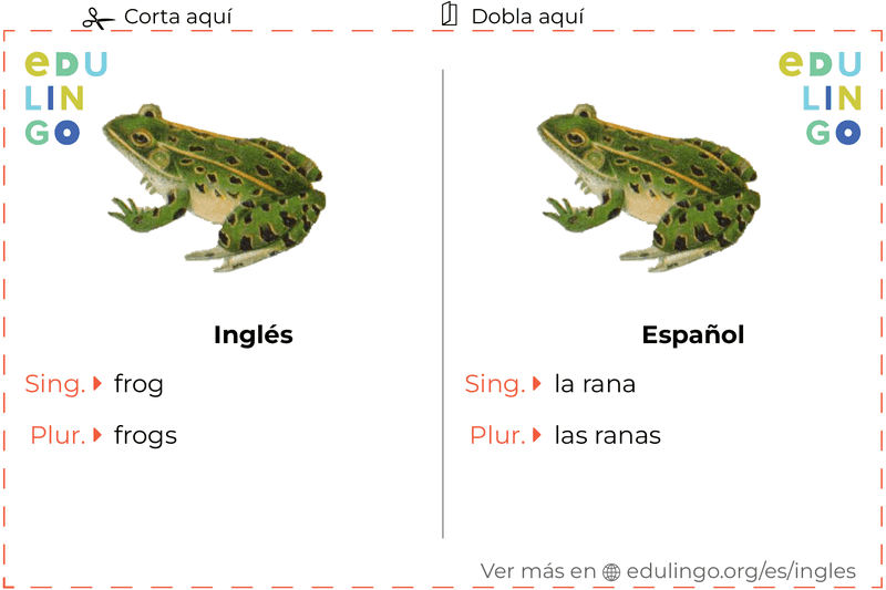 Ficha de Vocabulario Rana en inglés para imprimir, practicar y aprender